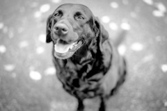 43411571_1215578548594170_7999157639957184512_n