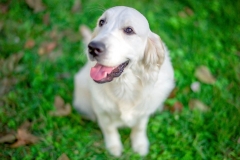 45085110_1230860063732685_3225168440956289024_n