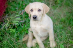 45398363_1233136393505052_5669990222432043008_n