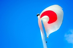 43198547_1213685215450170_5854356667184971776_n