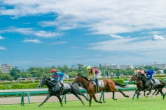 43201708_1213711135447578_3123703034043957248_n