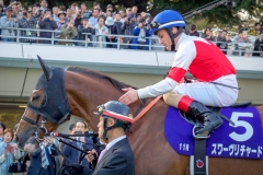 46007324_1239410469544311_4081221844718321664_n