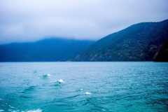 46098125_1240248382793853_1269598233982664704_n