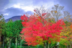 47117570_1253468664805158_7599062263600775168_o