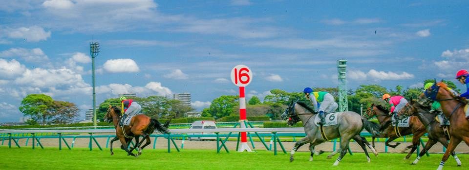 professional photographer